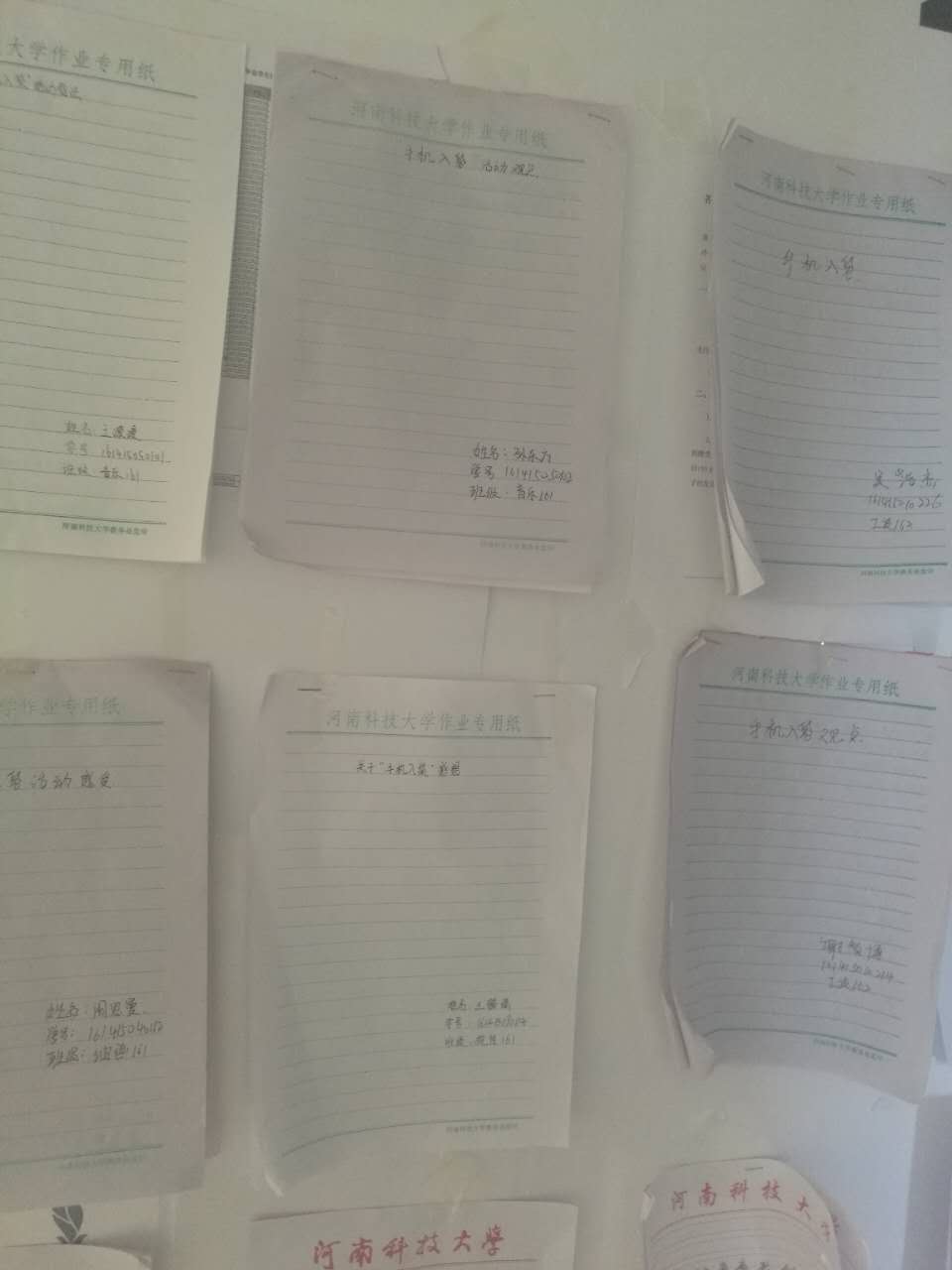 学院宣传栏张贴